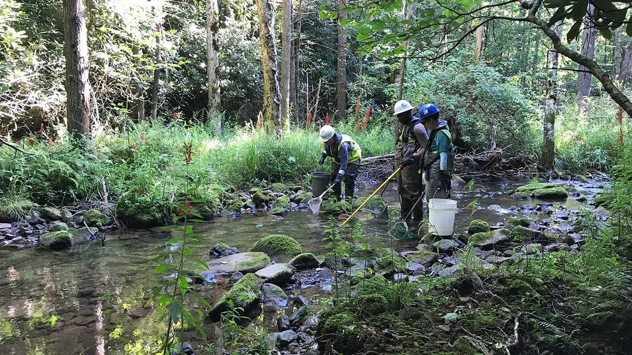 Tetra Tech staff in waders and hardhats complete a stream delineation for a hydropower project