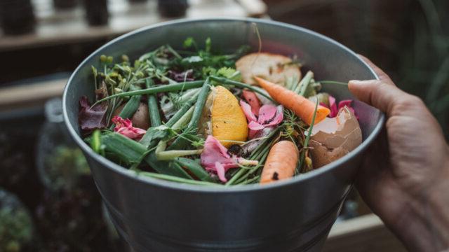 Photo of compost bucket ready to be disposed of